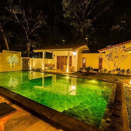 Tree Of Life Resort Bentota Exteriér fotografie