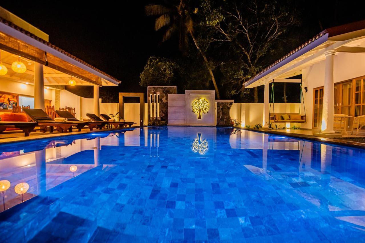 Tree Of Life Resort Bentota Exteriér fotografie