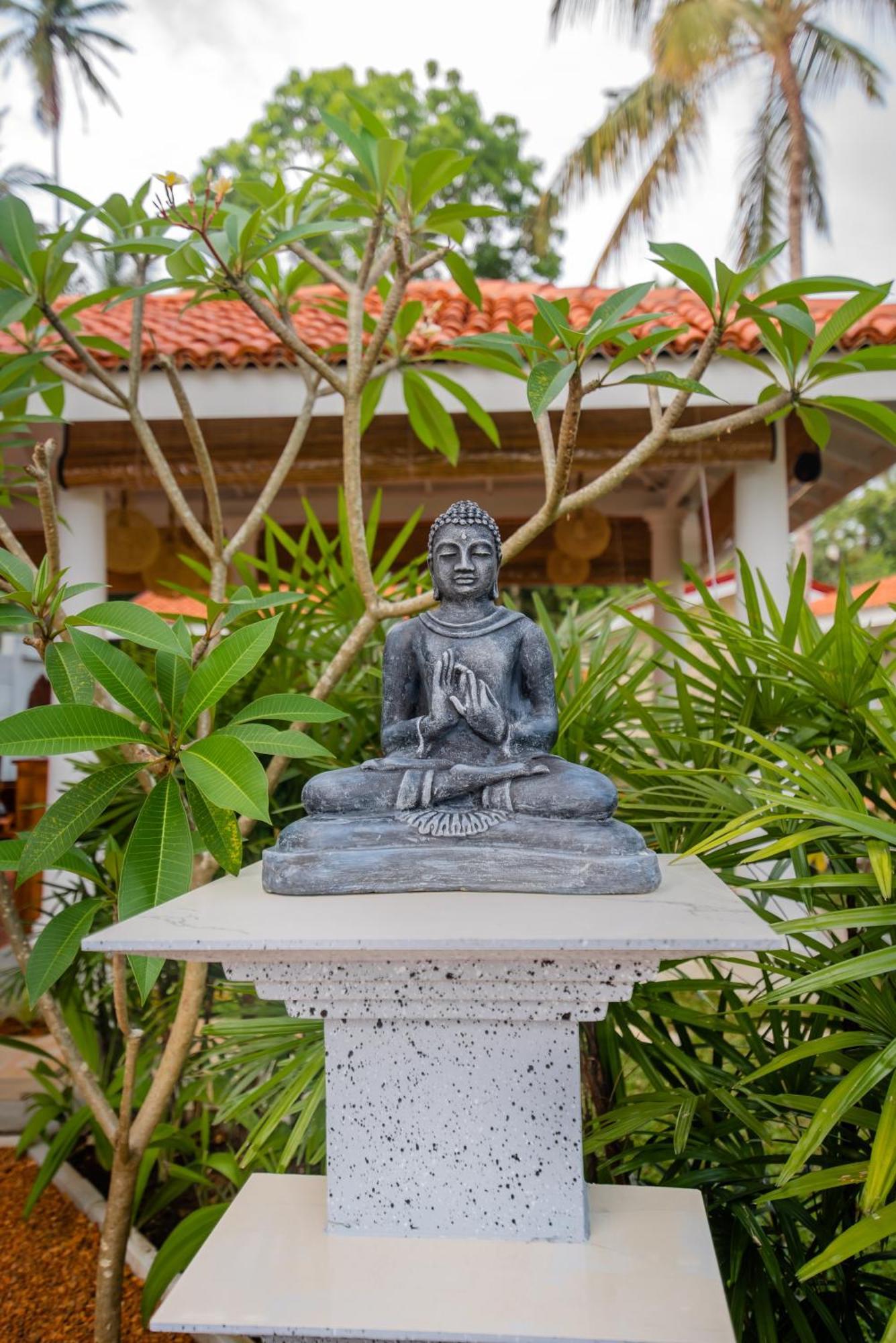 Tree Of Life Resort Bentota Exteriér fotografie